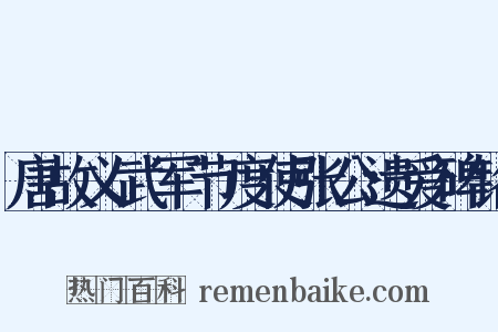 唐故义武军节度使张公遗爱碑铭是什么意思的图片